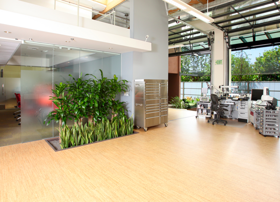 Ceramicork - cork with ceramic finish